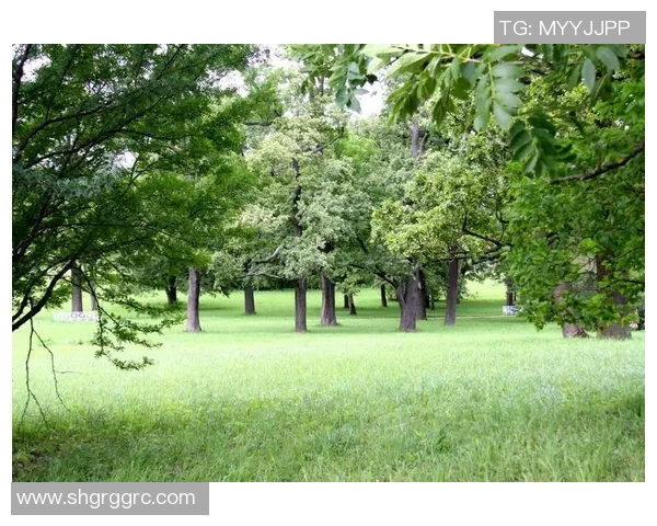 如何制作足球球星照片框并巧妙展示你的收藏与回忆