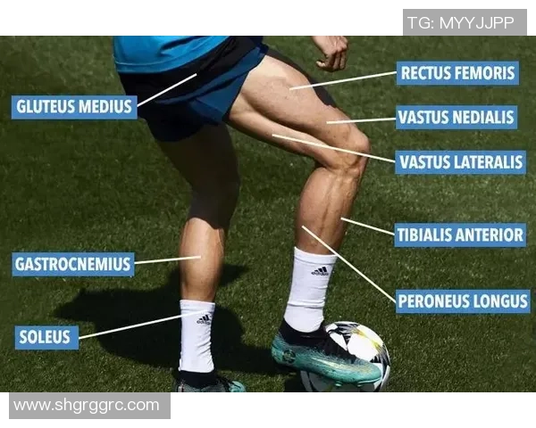 足球球星背阔肌训练揭秘 强大背部如何助力球场表现提升